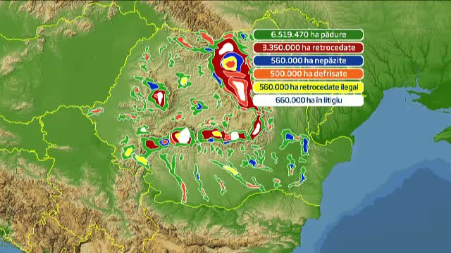 Cum functioneaza mafia lemnului. Silvicultorii si politicienii distrug impreuna padurile Romaniei