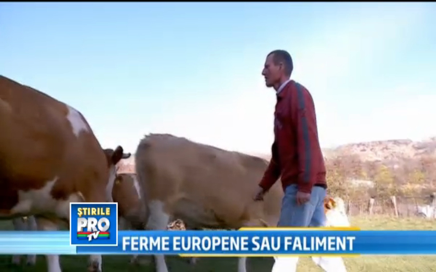 Conditiile pe care vor trebui sa le respecte fermierii care vand lapte de la 1 ianuarie 2014