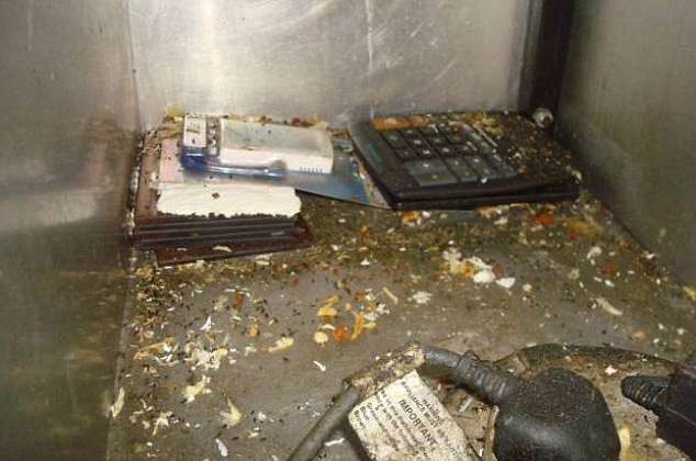 Cum arata bucataria unui fast food din Marea Britanie. Inspectorii l-au inchis pe loc