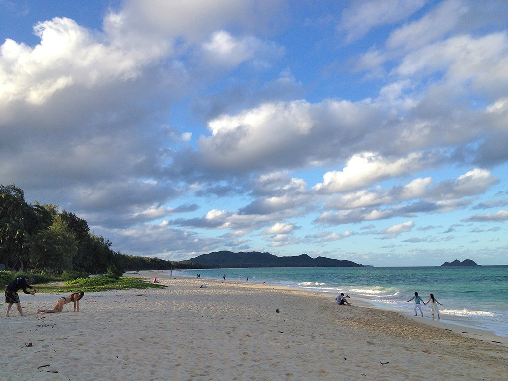 Doi soti erau fotografiati pe o plaja exotica in luna de miere. Ce se intampla langa ei