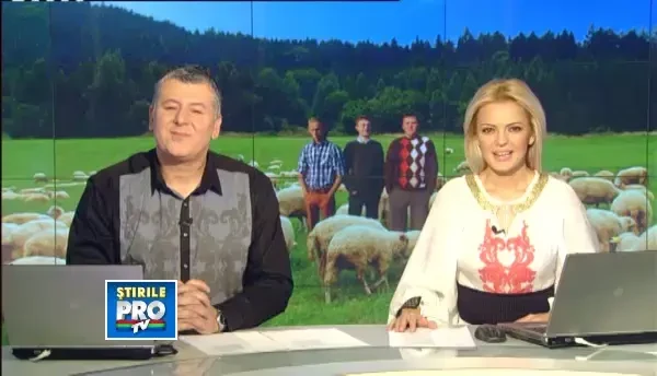 Ionut, Silviu si George, ciobanii OAIE-rless care au facut din pastorit o afacere de succes