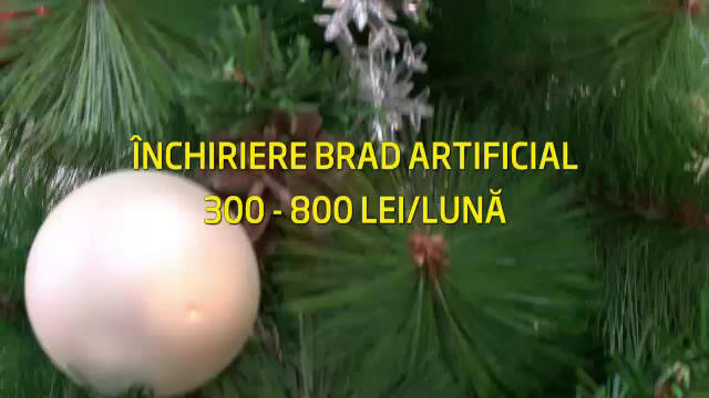 Bugetul pe care romanii l-au planificat de sarbatori. LISTA preturilor pentru brazii de Craciun