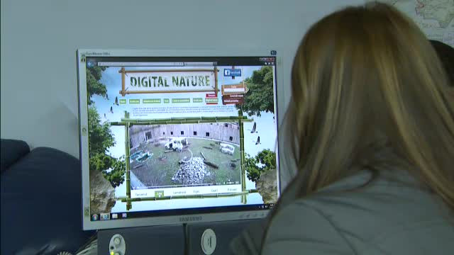 Gradina Zoologica din Bucuresti intra in era tehnologica. Cum poti urmari animalele de acasa