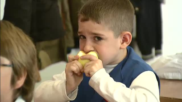 In cautarea marului perfect. Fructele nu ajung la elevi din cauza conditiilor impuse de stat