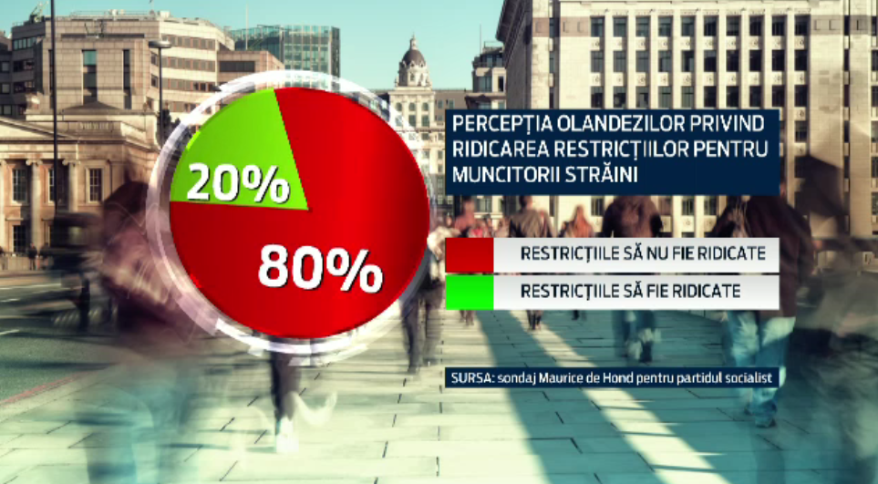 80% dintre olandezi nu sunt de acord cu accesul romanilor si bulgarilor pe piata muncii batave