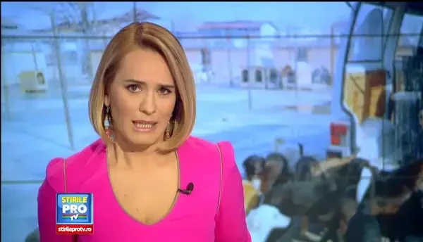 Capitala, un urias adapost in aer liber pentru maidanezi. Ultima solutie a autoritatilor