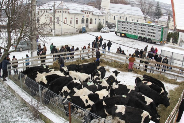 Mos Nicolae a adus 25 de vacute unor familii de romi din judetul Bistrita-Nasaud