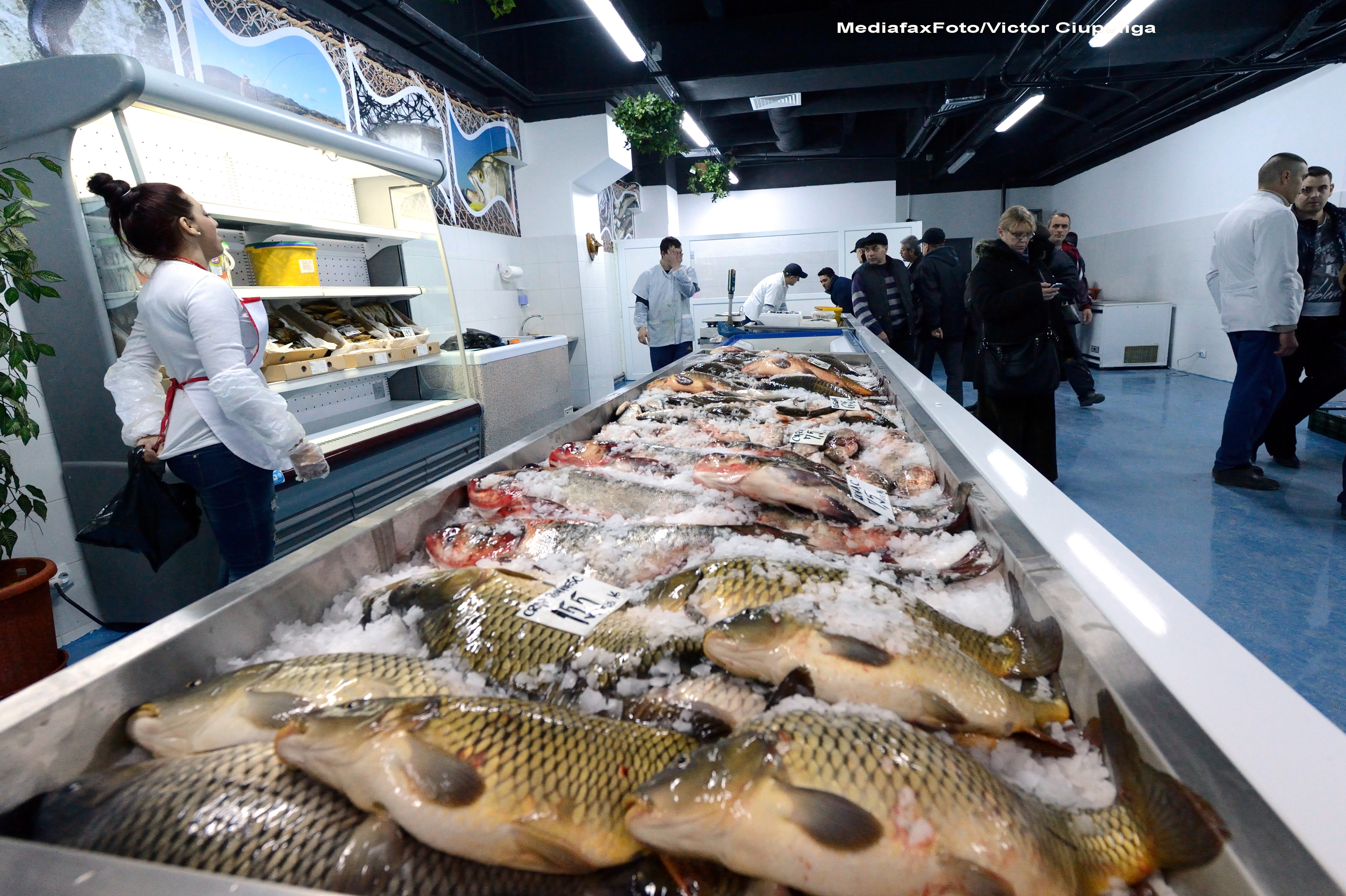 Festivalul pestelui, 7 si 8 decembrie, in Bucuresti: plachie de crap la ceaun si saramura