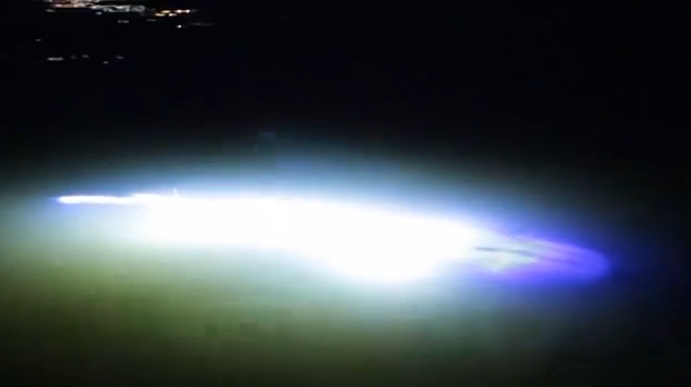 Meduza extraterestra din Marea Britanie a fost o farsa facuta de o televiziune. Cum arata animalul