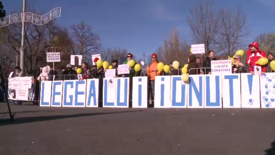 Protest in Capitala. Oamenii au cerut introducerea normelor care reglementeaza legea maidanezilor