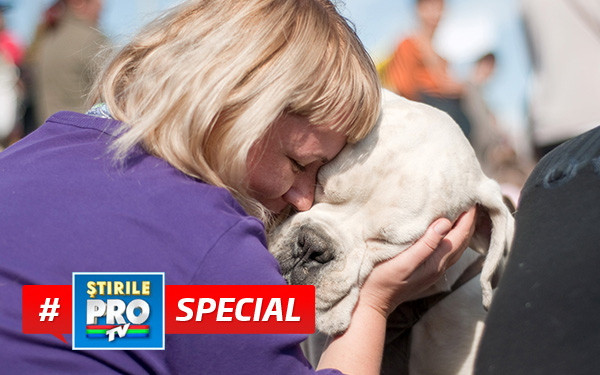 Caini maidanezi #special