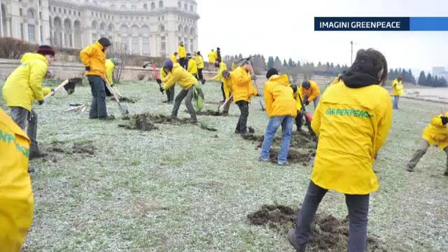 Activistii Greenpeace au sapat dupa aur la Parlament. Protest cu tarnacoape fata de exploatari