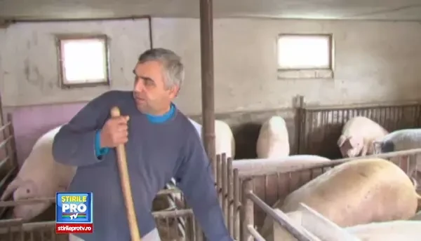 Agricultura profitabila. Gospodarii din Daia Romana nu au lasat nicio palma de pamant nelucrat