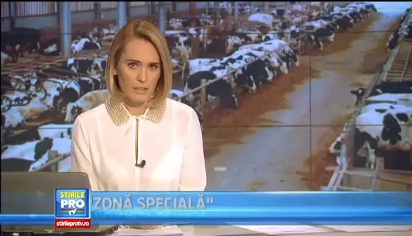 Noile reguli europene care vor obliga Romania sa transforme laptele in cascaval scump si parmezan