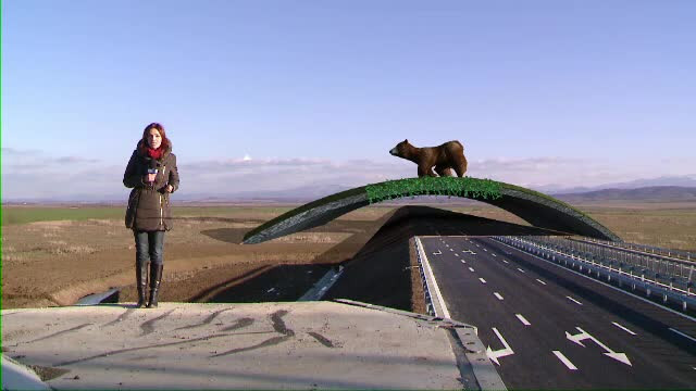 Peste 10 ani vom traversa Romania pe autostrada. Promisiunea de Anul Nou a Guvernului