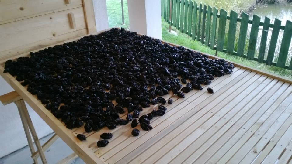 prune uscate Leleasca