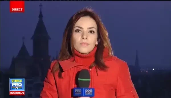 Telefoane mobile ascunse in snitele, descoperite in pachetul care trebuia sa ajunga la un detinut