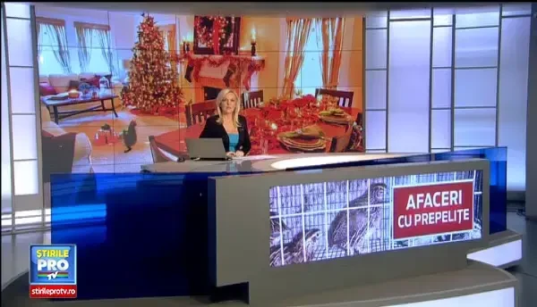 RETETE DE CRACIUN. Tot mai multi romani aleg prepelita in locul porcului traditional