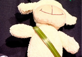 Pufulica a ajuns vedeta pe internetul romanesc. PRO FM a remixat mascota verde VIDEO si AUDIO