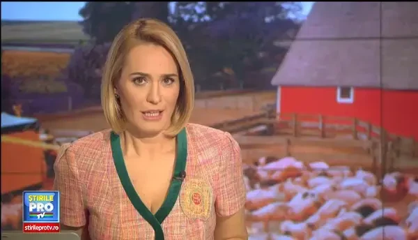 Marea bursa a porcului de Craciun. Romanii sunt dispusi sa dea la schimb si un iPhone sau o Dacie