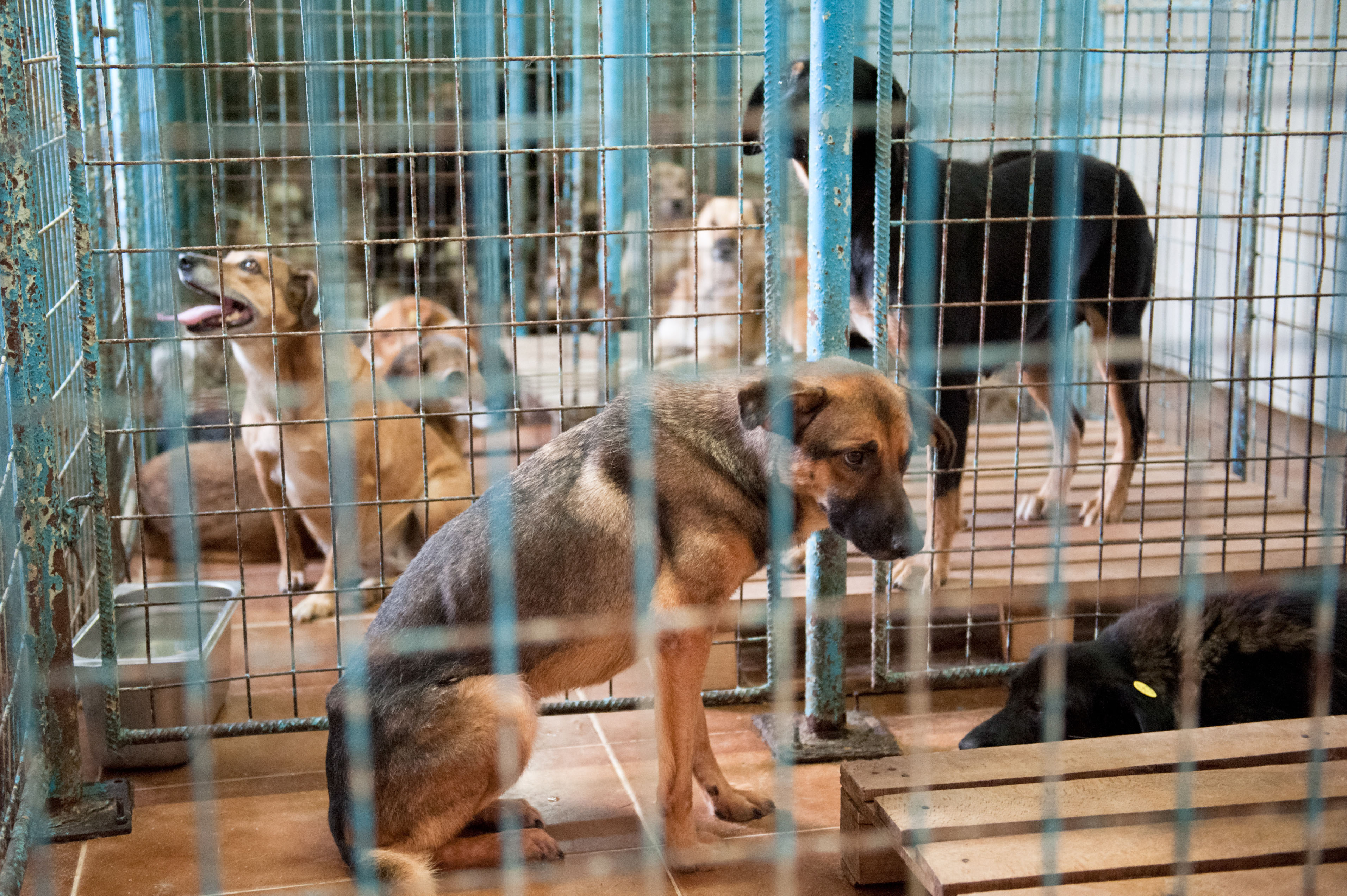 Retrospectiva 2010-2013 imagini - 12