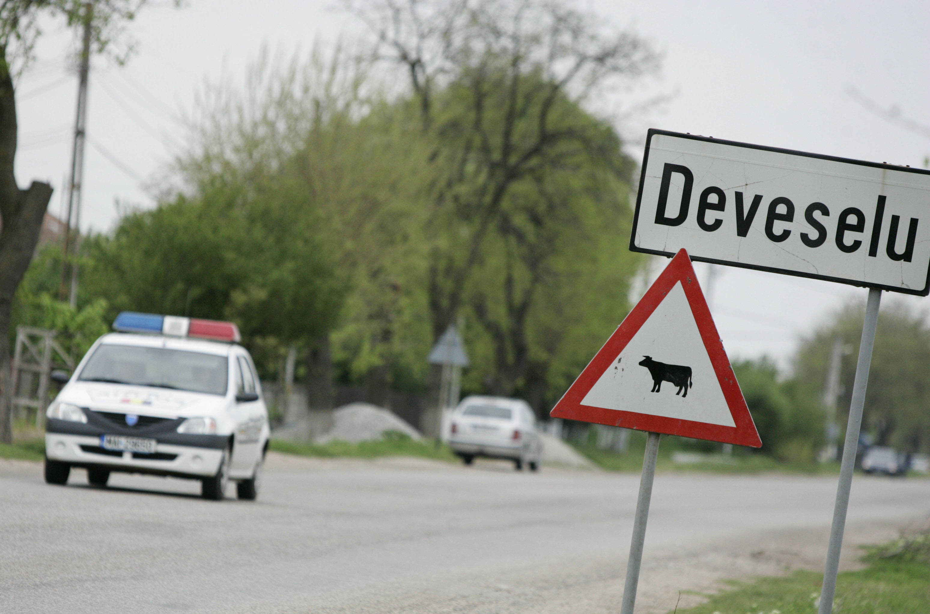 Retrospectiva 2010-2013 imagini - 21