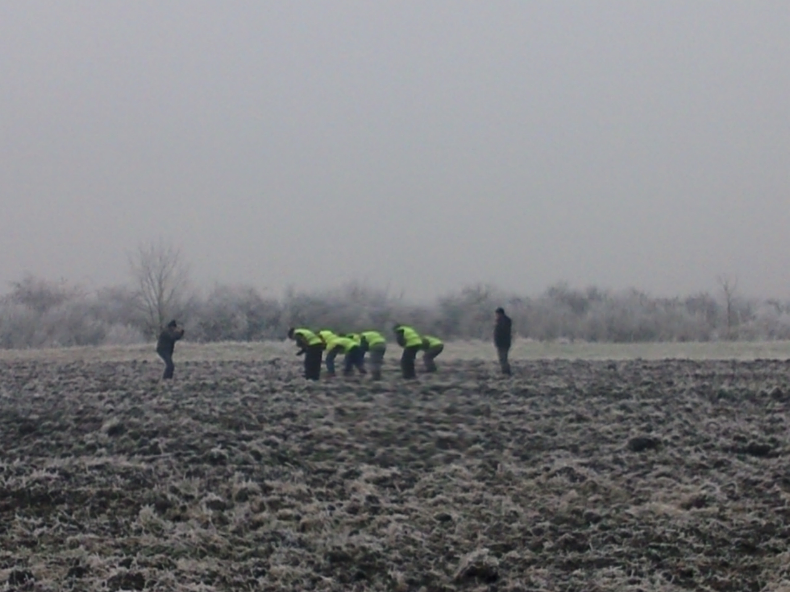 Dupa ce a promis 110.000 de copaci, Robu a plantat... salcii energetice. Cum vor fi valorificate