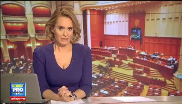 Stelian Tanase a fost numit de Parlament presedinte director general interimar al TVR