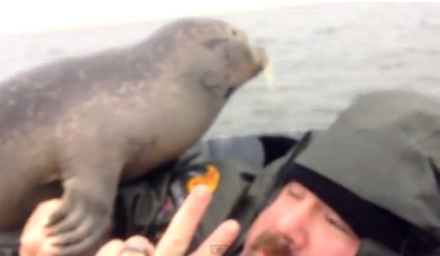 Surpriza traita de acest vanator. Cine a venit sa se imprieteneasca cu el in barca. VIDEO