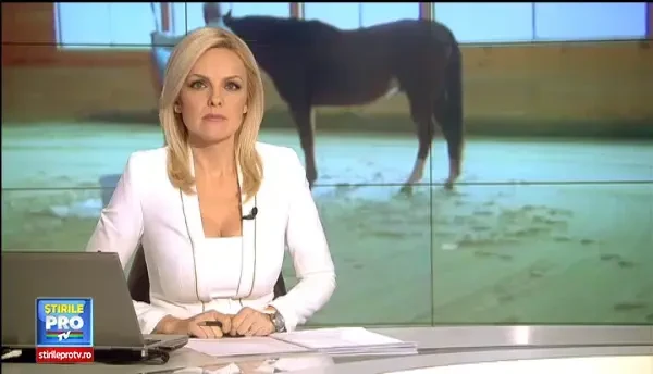 Blestemul care a ucis 3 proprietari ai unui castel. Cum a scapat sotia in ultima clipa