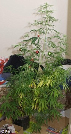 Posedati de Spiritul Craciunului? Ce mai impodobesc romanii, in afara de brad!