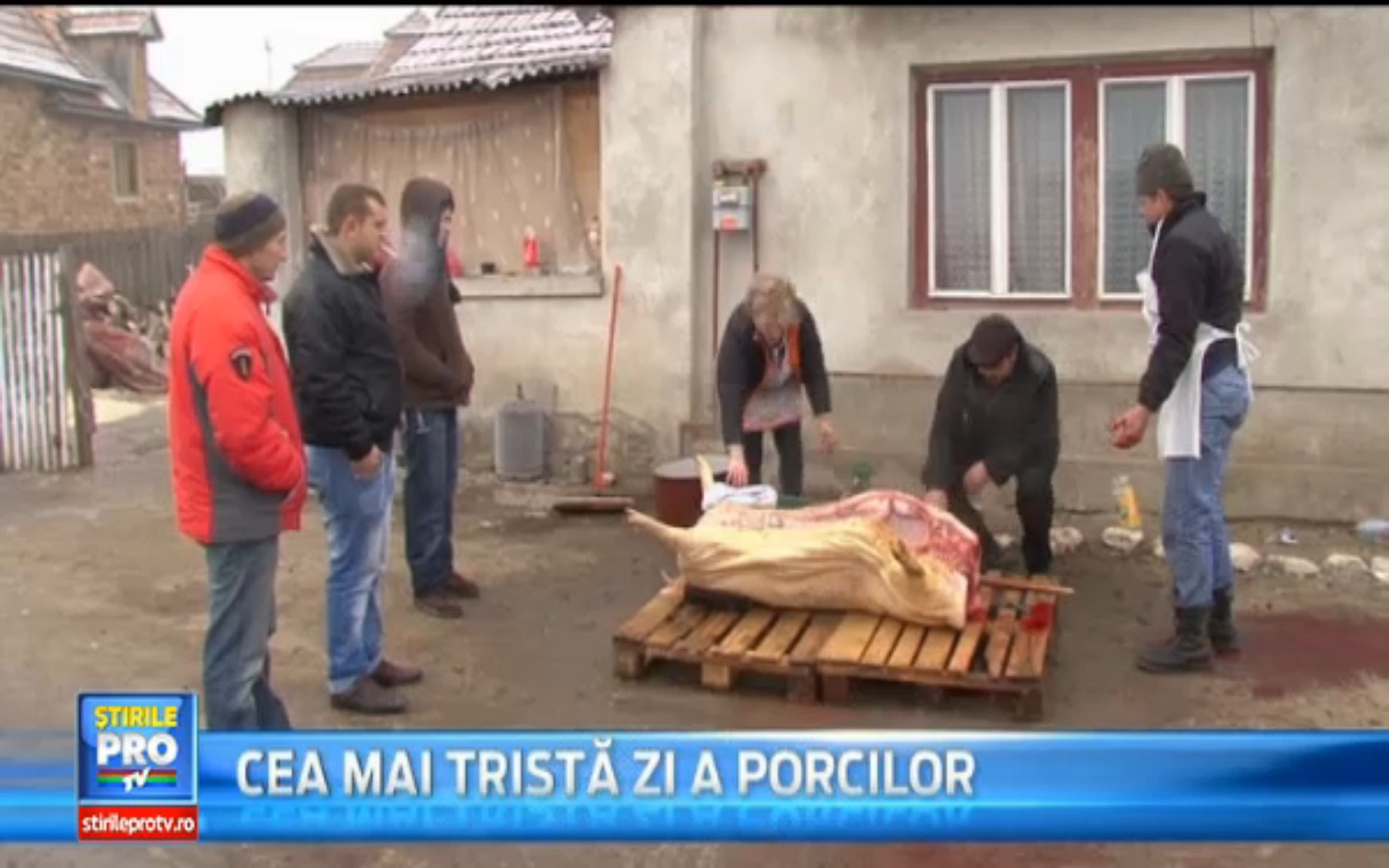 Pomana porcului in Ardeal de Ignat