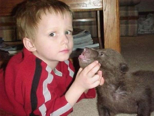 Povestea emotionanta a lui Casey Anderson, barbatul care a adoptat un urs