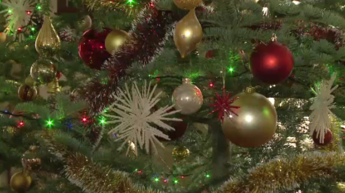 Familia Regala se pregateste de Craciun in compania colindatorilor. Cum arata bradul de la Savarsin