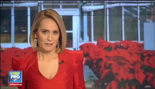 O familie de romani scoate profit din vanzarea de Craciunite. Care este povestea din spatele plantei