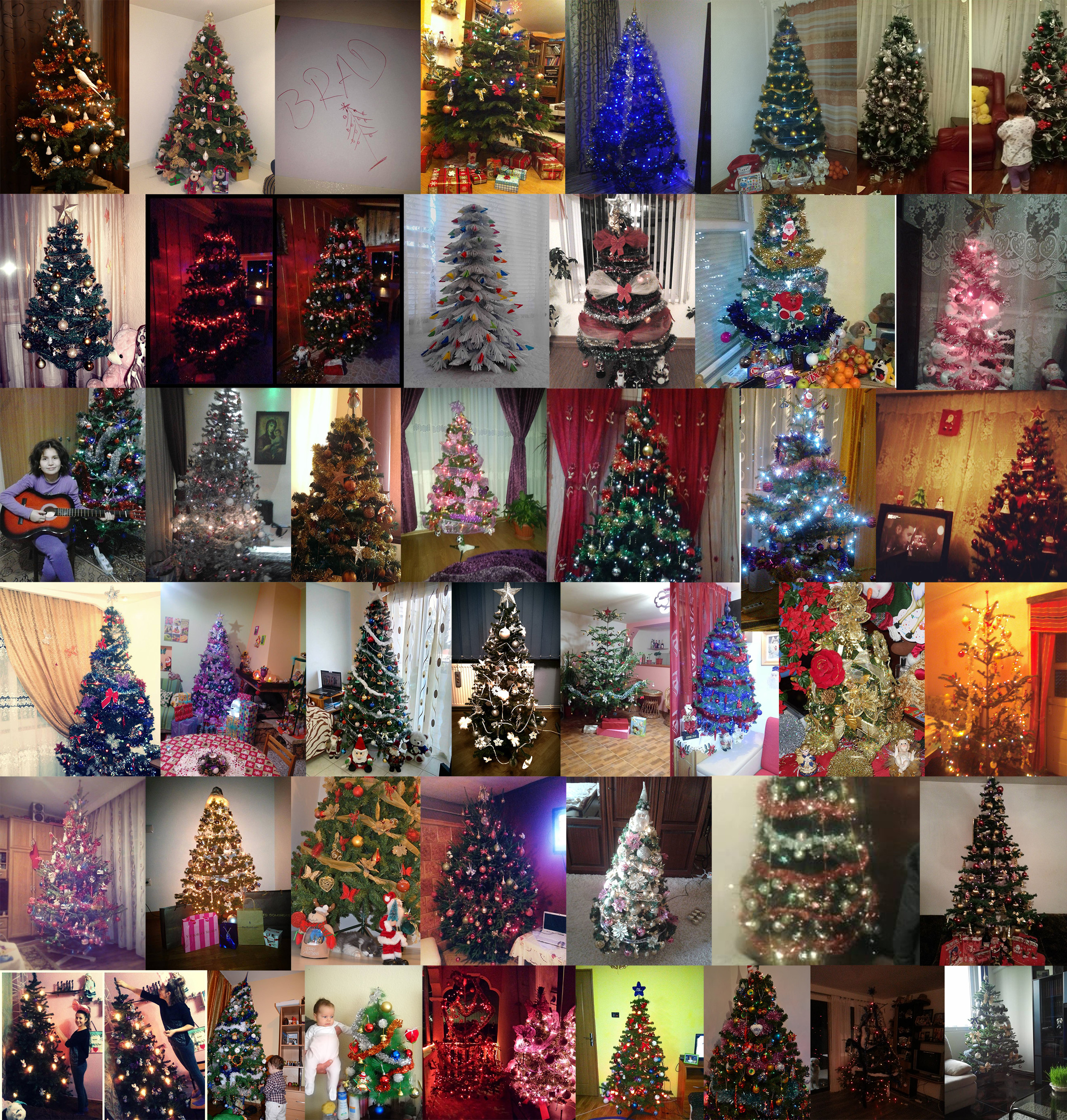 Bradul eco, bradul de 3 lei si bradul cu carnati. Craciunul pomilor decorati pentru un LIKE si SHARE