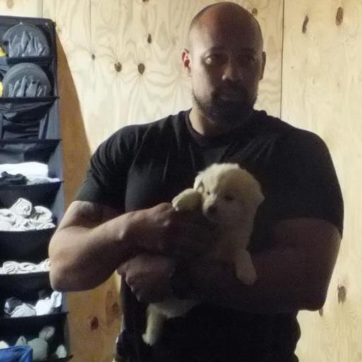 Craciun special in familia unui soldat american, alaturi de cainele salvat de pe campul de lupta