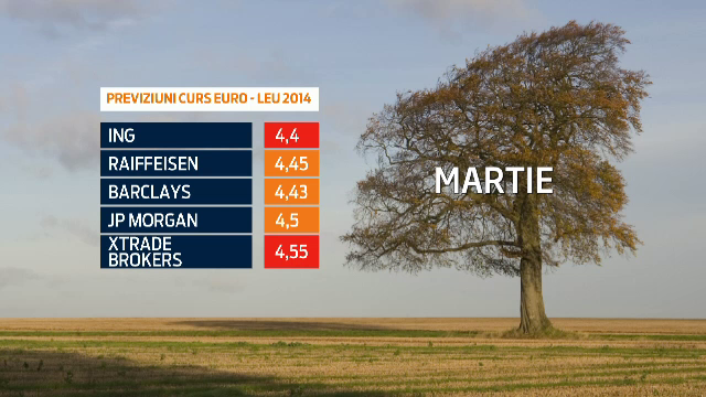 PROGNOZA pentru cursul valutar in 2014. Unde se va situa leul fata de celelalte monede