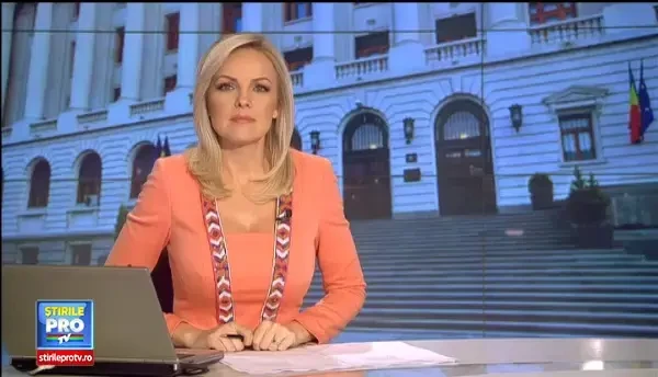 PROGNOZA pentru cursul valutar in 2014. Unde se va situa leul fata de celelalte monede