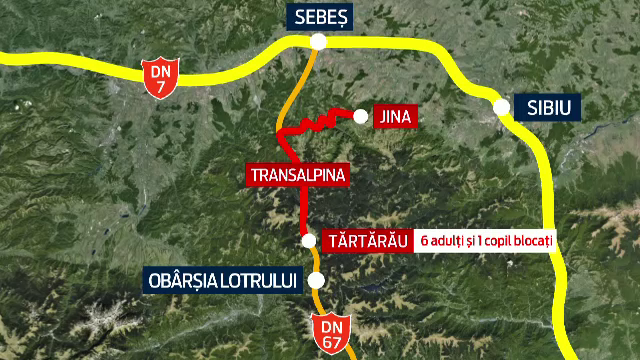 inzapeziti transalpina