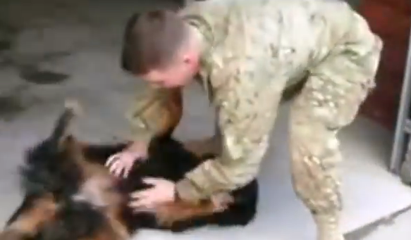 VIDEO. Reactia unor caini care isi revad stapanii, plecati in Afganistan. Imaginile sunt virale