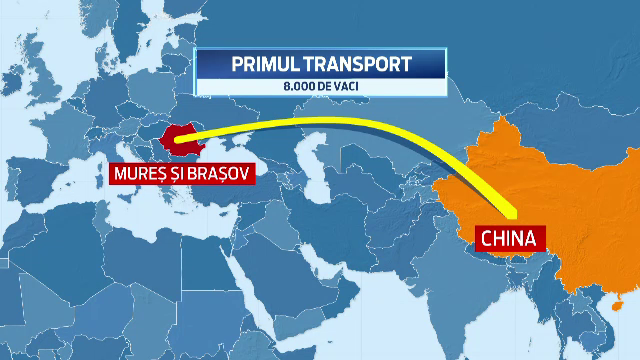 Chinezii vor sa cumpere 25 de MIL. de oi si porci din Romania. Cat de pregatiti sunt fermierii