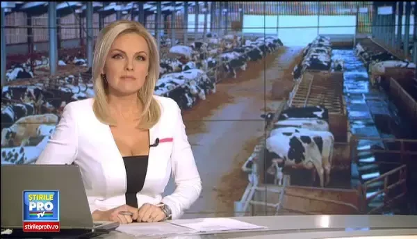 Cat de pregatiti suntem sa exportam animale in China. Strategia pentru acces la cea mai mare piata