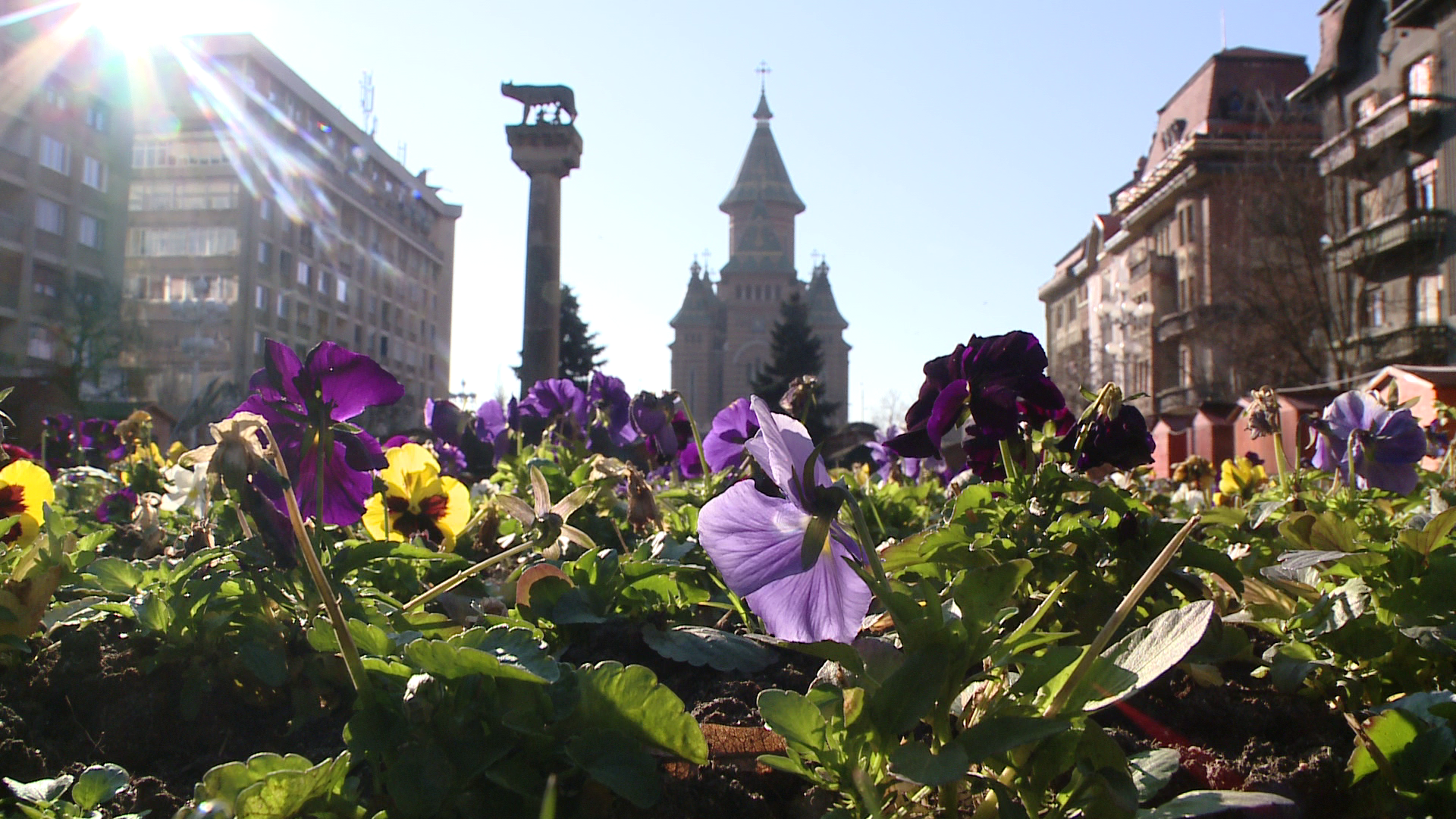 Gerul Bobotezei, doar o amintire. Ce temperaturi se inregistreaza astazi la Timisoara