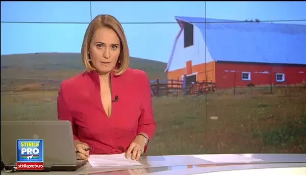 Toamna lunga si frumoasa le asigura un profit mai mare crescatorilor de oi. La stana au aparut mieii