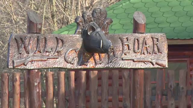 Au inceput ultimele pregatiri pentru marea vanatoare de la Balc organizata anual de Ion Tiriac