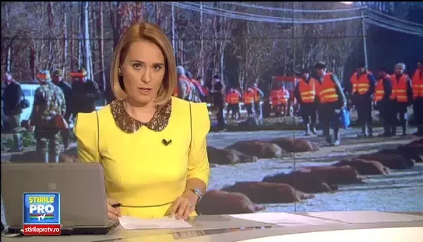 Au inceput ultimele pregatiri pentru marea vanatoare de la Balc organizata anual de Ion Tiriac