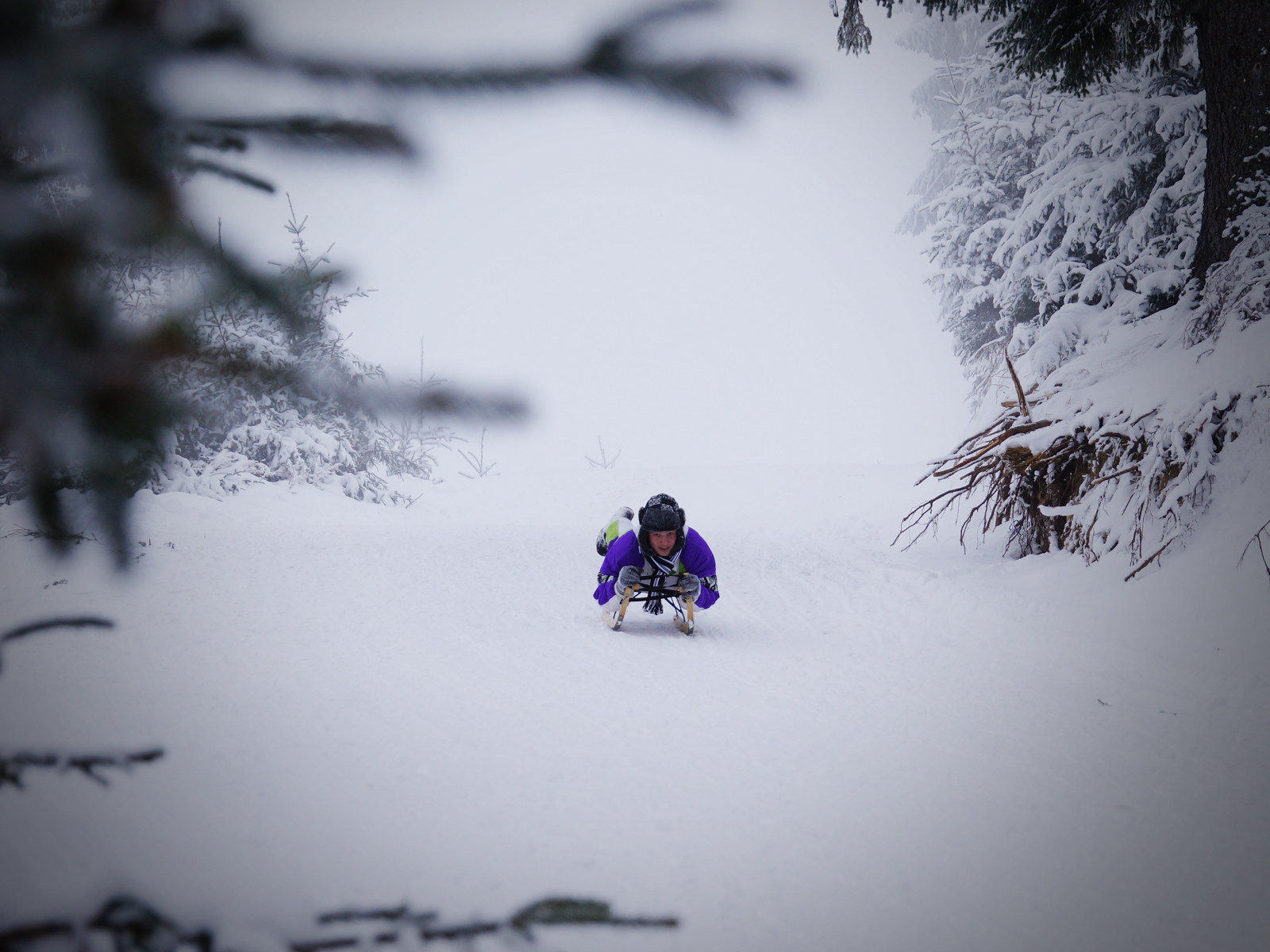 Concurs de sanii la Arena Platos. Castigatorul pleaca acasa cu o sanie profesionala model austriac