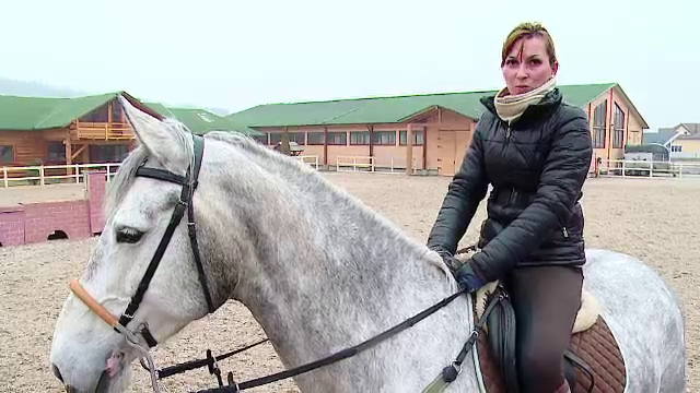 Echitatia, un sport tot mai la moda printre romani. Costurile unei sedinte de calarie