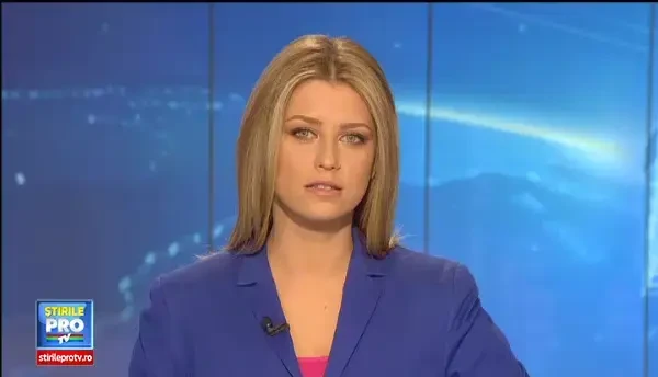 Sase indivizi au furat mai multe plase de protectie si balustrade de pe Autostrada Transilvania